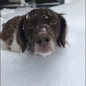 Meet your Posher, Hannah